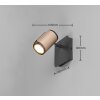 Lámparas Trio und Spot techo, Plafones y apliques / Lámparas de techo y pared, Spot de pared Marrón, 1 luz