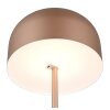 Lámparas Reality Jeff Lámpara de pie LED Marrón, 1 luz