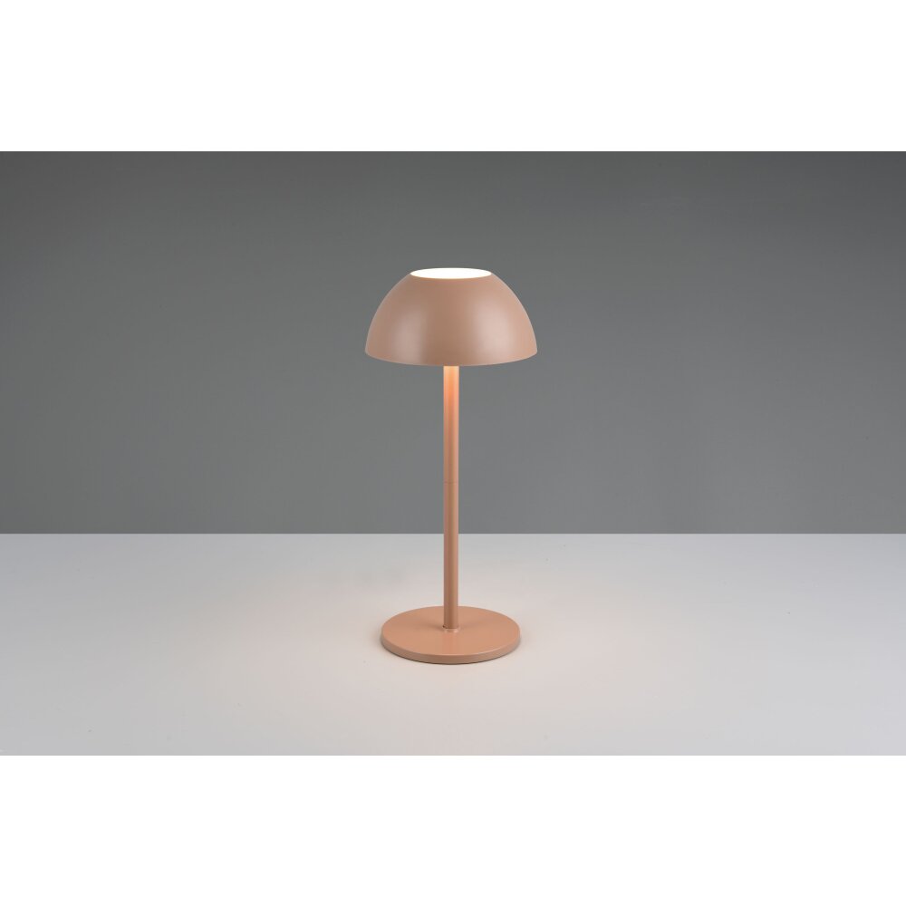 Lámparas Reality Ricardo Lámparas de mesa LED Marrón, 1 luz main product photo
