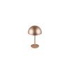 Lámparas Reality Munoz Lámparas de mesa LED Marrón, 1 luz