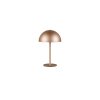 Lámparas Reality Munoz Lámparas de mesa LED Marrón, 1 luz