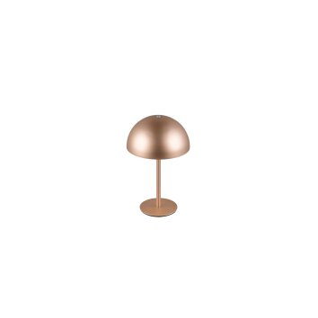 Lámparas Reality Munoz Lámparas de mesa LED Marrón, 1 luz