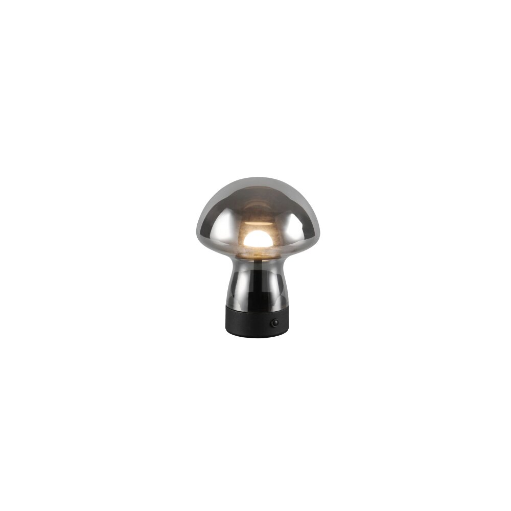 Lámparas Reality Dooley Lámparas de mesa LED Colores ahumados, 1 luz main product photo
