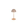 Lámparas Reality Ortiz Lámparas de mesa LED Marrón, 1 luz