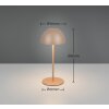 Lámparas Reality Ortiz Lámparas de mesa LED Marrón, 1 luz