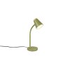 Lámparas Reality Pongo Lámparas de mesa LED Verde, 1 luz