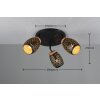 Lámparas Reality Bidar Plafones dorado, Negro, 3 luces