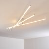 Tornio Lámpara de Techo LED Níquel-mate, Blanca, 3 luces