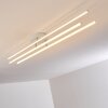 Tornio Lámpara de Techo LED Níquel-mate, Blanca, 3 luces