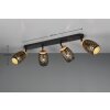 Lámparas Reality Bidar Spot techo Negro-dorado, 4 luces
