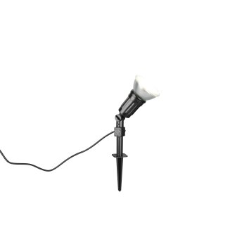 Lámparas Reality CACERES Foco de jardín LED Negro, 1 luz