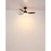 Lámparas Globo Lighting Modesto lámpara ventilador de techo LED Gris, 1 luz, Mando a distancia
