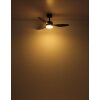 Lámparas Globo Lighting Blackwell lámpara ventilador de techo LED Negro, 1 luz, Mando a distancia
