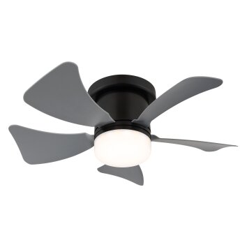 Lámparas Globo Lighting Hines lámpara ventilador de techo LED Gris, Negro, 1 luz, Mando a distancia