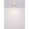 Lámparas Globo Lighting Hines lámpara ventilador de techo LED Colorido, Blanca, 1 luz, Mando a distancia