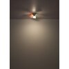Lámparas Globo Lighting Hines lámpara ventilador de techo LED Blanca, 1 luz, Mando a distancia