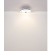 Lámparas Globo Lighting Shelly lámpara ventilador de techo LED Blanca, 1 luz, Mando a distancia