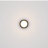 Lámparas Globo Lighting Lasse Plafones LED Negro, 1 luz