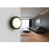 Lámparas Globo Lighting Lasse Plafones LED Negro, 1 luz