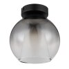 Lámparas Globo Lighting Barry Plafones Negro, 1 luz