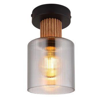 Lámparas Globo Lighting Aleidis Plafones marrón oscuro, Negro, 1 luz