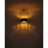 Lámparas Globo Lighting Coletta Lámparas suspendidas dorado, Negro, 1 luz