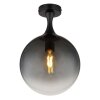 Lámparas Globo Lighting Dalton Plafones Negro, 1 luz