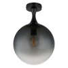 Lámparas Globo Lighting Dalton Plafones Negro, 1 luz
