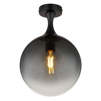 Lámparas Globo Lighting Dalton Plafones Negro, 1 luz