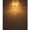 Lámparas Globo Lighting Floriella Plafones LED dorado, 1 luz