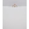 Lámparas Globo Lighting Floriella Plafones LED dorado, 1 luz