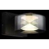 Lámparas Globo Lighting Belinda Apliques LED Negro, 1 luz