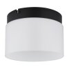 Lámparas Globo Lighting Trenton Plafones LED Negro, 1 luz