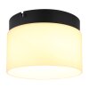 Lámparas Globo Lighting Trenton Plafones LED Negro, 1 luz