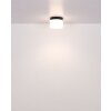 Lámparas Globo Lighting Trenton Plafones LED Negro, 1 luz