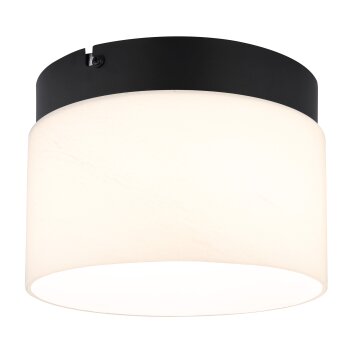 Lámparas Globo Lighting Trenton Plafones LED Negro, 1 luz
