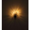 Lámparas Globo Lighting Fiore Apliques Negro, 2 luces