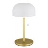 Lámparas Globo Lighting Norman Lámparas de mesa LED Latón, 1 luz