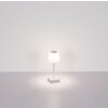 Lámparas Globo Lighting Xayden Lámparas de mesa LED Plata, 1 luz