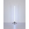 Lámparas Globo Lighting Rocky Lámpara de pie LED Negro, 1 luz, Mando a distancia, Cambia de color