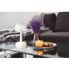 Lámparas Globo Lighting Lucio Lámparas de mesa LED Blanca, 1 luz
