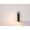 Lámparas Globo Lighting Oko Iluminación exterior LED Negro, 1 luz