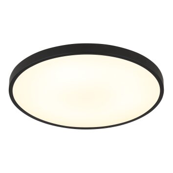 Lámparas Globo Lighting Nielsen Plafones LED Negro, 1 luz