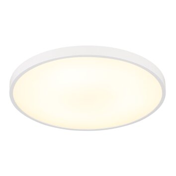 Lámparas Globo Lighting Nielsen Plafones LED Blanca, 1 luz