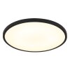 Lámparas Globo Lighting Nielsen Plafones LED Negro, 1 luz