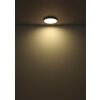 Lámparas Globo Lighting Nielsen Plafones LED Negro, 1 luz