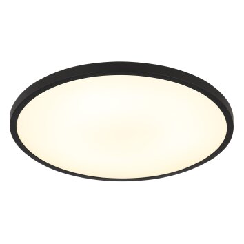 Lámparas Globo Lighting Nielsen Plafones LED Negro, 1 luz