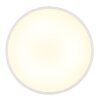 Lámparas Globo Lighting Nielsen Plafones LED Blanca, 1 luz