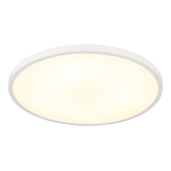Lámparas Globo Lighting Nielsen Plafones LED Blanca, 1 luz