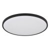 Lámparas Globo Lighting Nielsen Plafones LED Negro, 1 luz